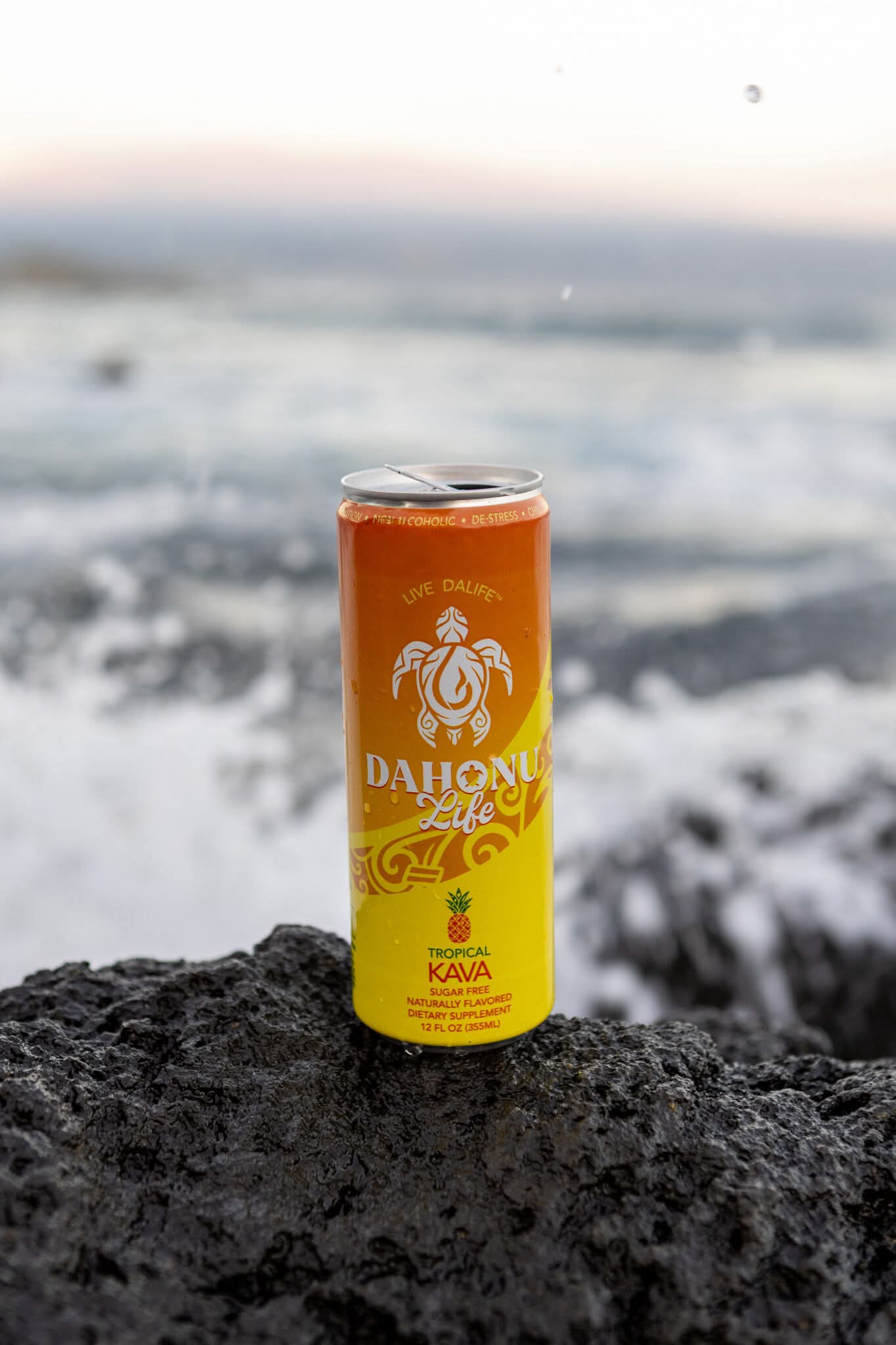 Tropical 12-Pack – DaHonu Life